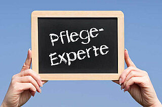 1 Darstellung des Pflegedienstes