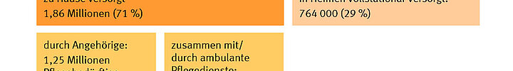 Pflegebedürftige nach Versorgungsart 2013 (Grafik: Destatis) Pflegebedürftige nach Versorgungsart 2013 (Grafik: Destatis)